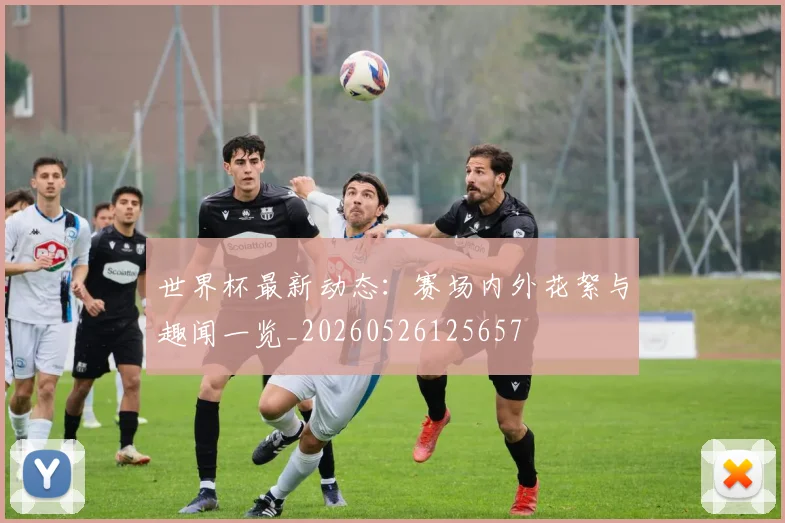 世界杯最新动态：赛场内外花絮与趣闻一览_20260526125657