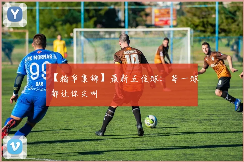【精华集锦】最新五佳球：每一球都让你尖叫